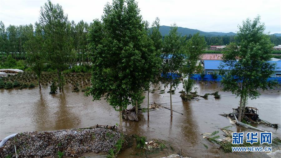 黑龙江苇河林区暴雨致部分房屋被冲毁通讯中断