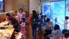 北京企鵝餐廳童趣盎然 生意火爆