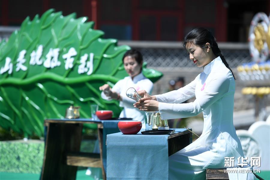（文化）（1）八大处中国园林茶文化节开幕