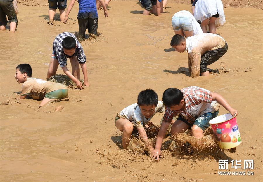 （社会）（4）南京：乡村小学开展“田园儒风文化节”活动