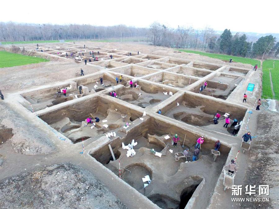 （文化）（4）河南新砦遗址出土3800年前彩绘陶鸟 或见证夏早期“东夷乱夏”