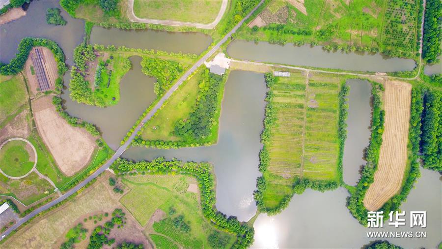 航拍夏日长青沙岛