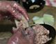 1月11日，厨师在制作汾州“八大碗”中的“羊肉瓤冬瓜”。