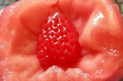 西红柿里吃出“草莓” 网友：跨越种族的爱情 你吃过这样的西红柿吗？