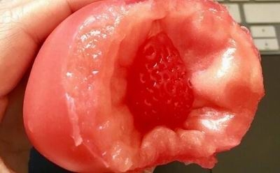 西红柿里吃出草莓
