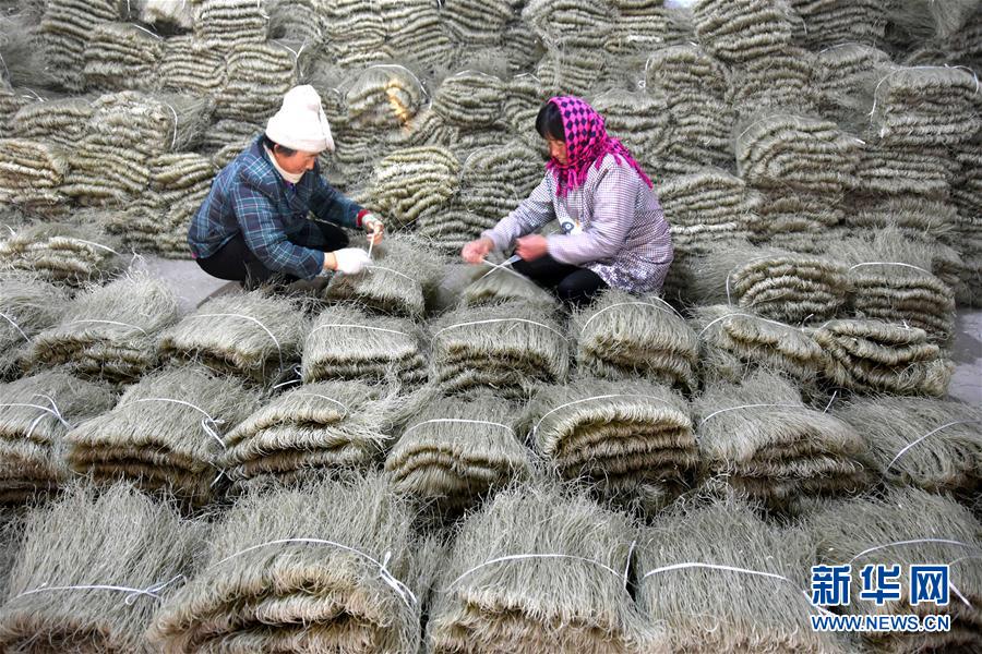 #（经济）（3）山东沂源：手工粉条节前加工忙