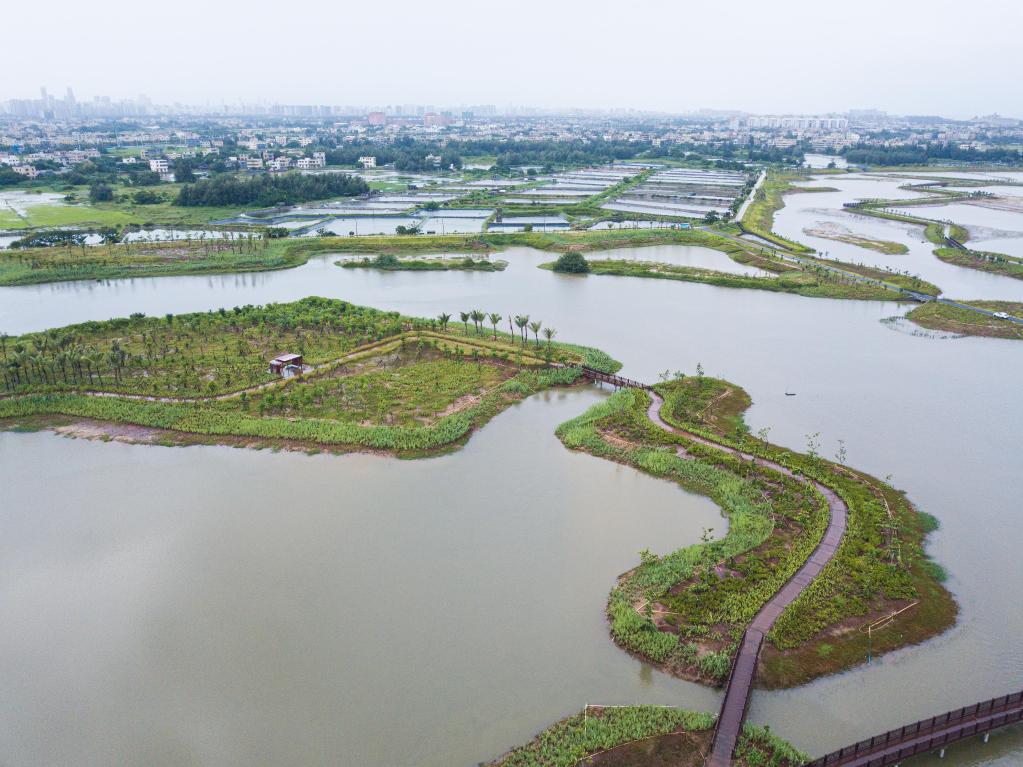 海口江东新区迈雅河区域生态修复项目一期完工