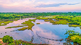 海南海口：生态湿地 和谐共生