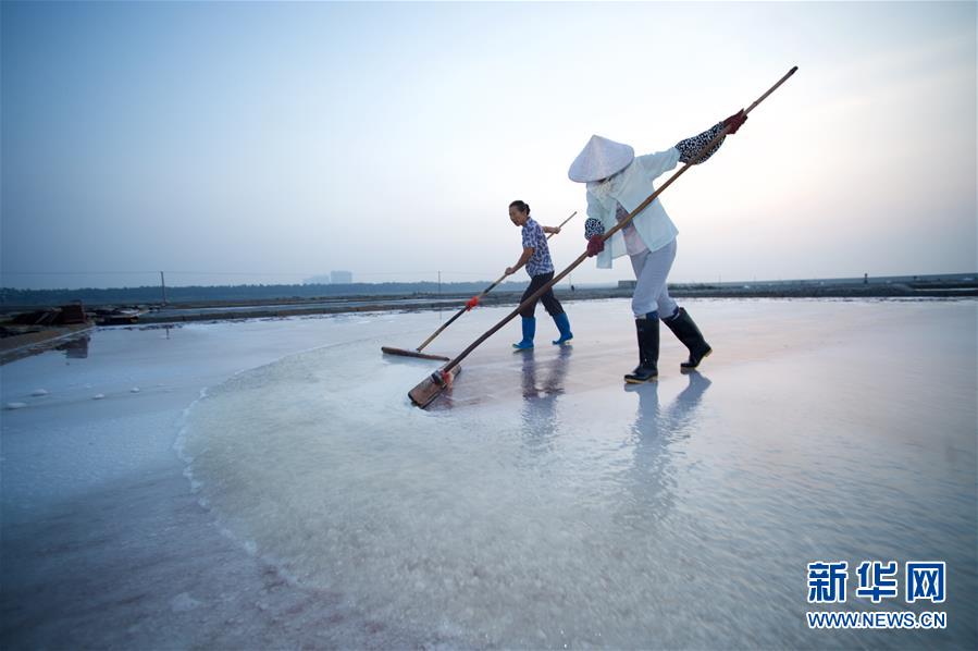 （社会）（2）福建泉州：百年盐场的繁忙伏收季