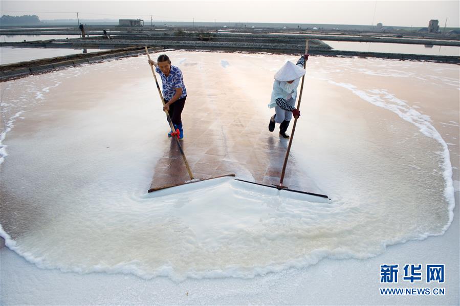 （社会）（10）福建泉州：百年盐场的繁忙伏收季