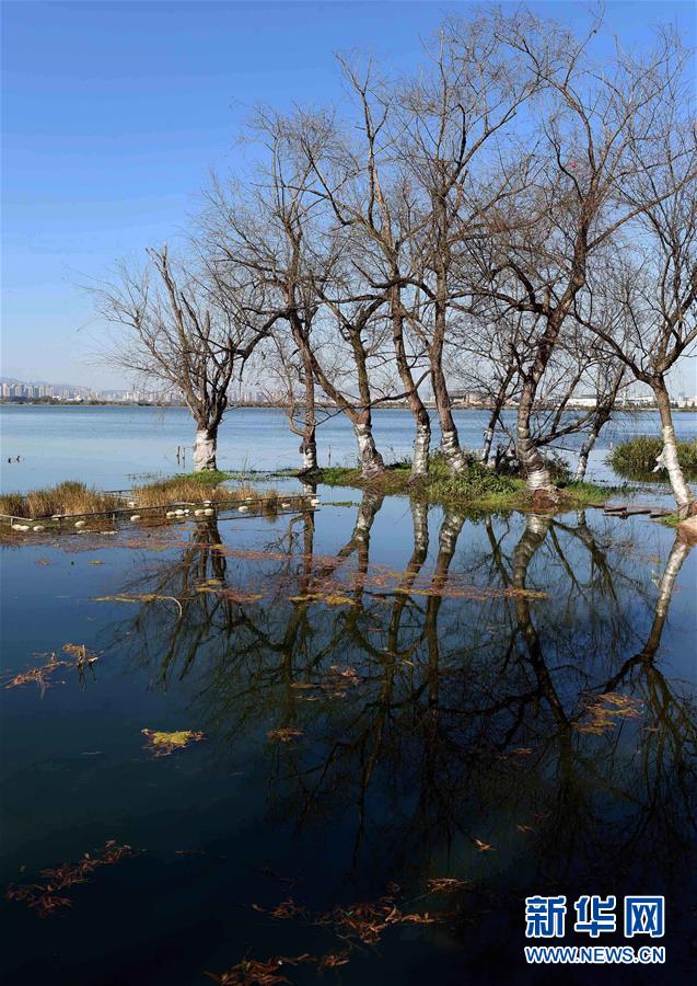 （环境）（4）昆明滇池水质持续向好 主要入湖河道水质持续改善