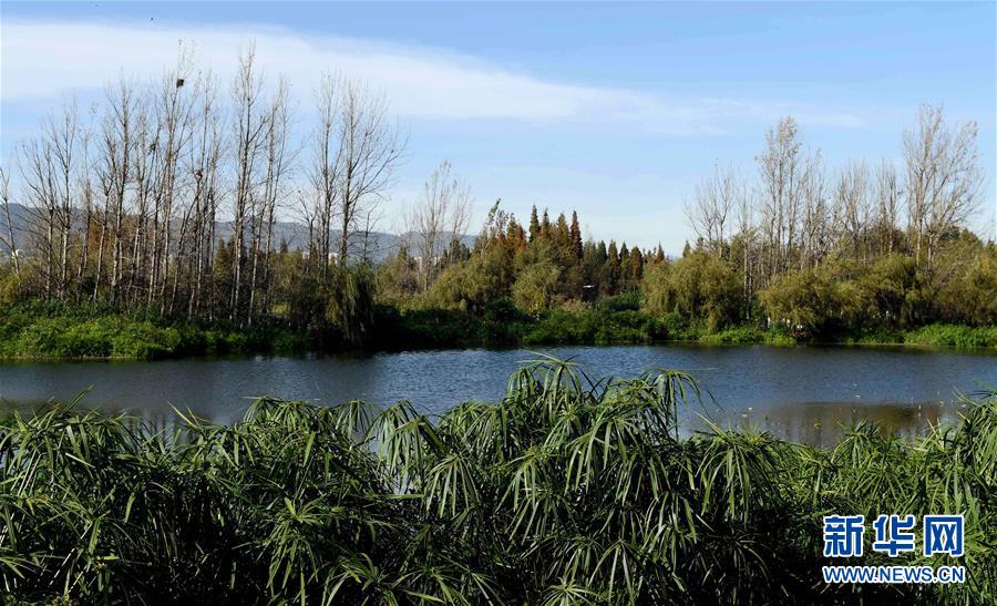 （环境）（8）昆明滇池水质持续向好 主要入湖河道水质持续改善