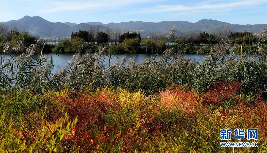 （环境）（9）昆明滇池水质持续向好 主要入湖河道水质持续改善