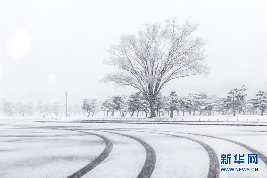 （国际）（2）东京迎初雪