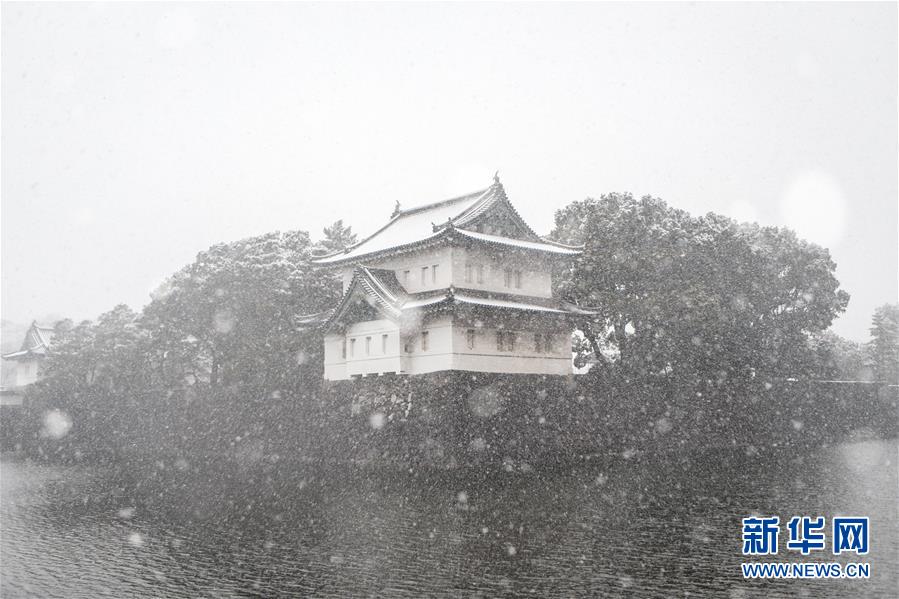 （国际）（4）东京迎初雪