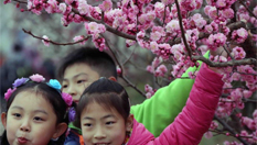 中国梅花之乡举行梅花节