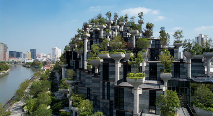 上海普陀：千棵“樹”建成“空中巴比倫”