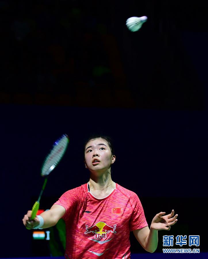 （体育）（10）羽毛球——2017中国公开赛赛况