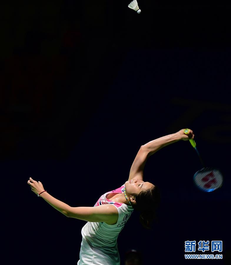 （体育）（20）羽毛球——2017中国公开赛赛况
