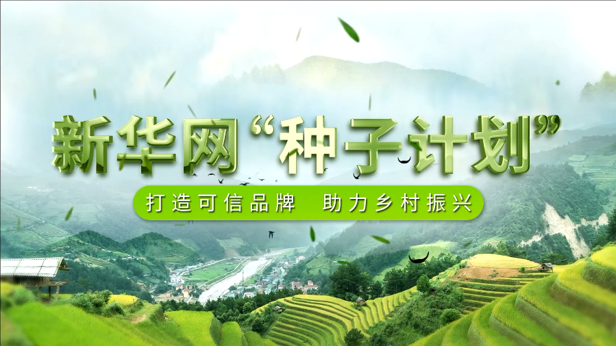 新华网“种子计划”在线盛大启动 百企千品入驻溯源中国可信品牌生态矩阵