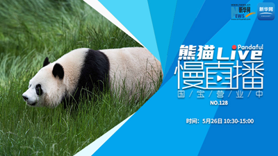 熊貓慢直播：國寶營業中（128）