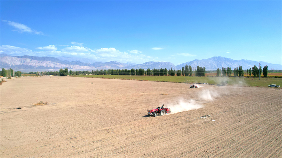 新疆和硕：播种冬小麦 农忙正当时