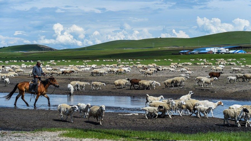 我在现场·照片背后的故事丨内蒙古不只有草原