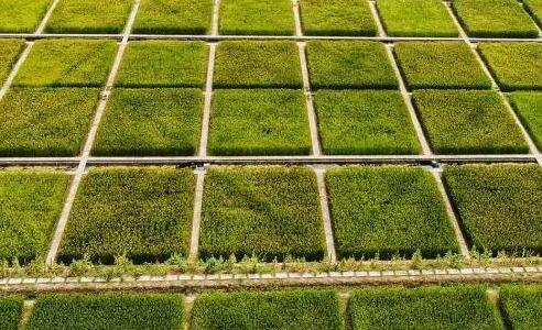 安徽：高标准农田建设财政投入标准逐步提高