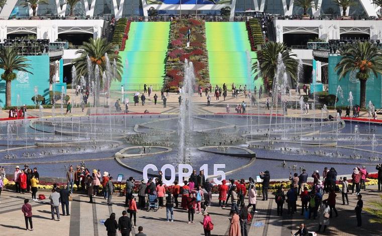 昆明：COP15会场今日起免费向公众开放