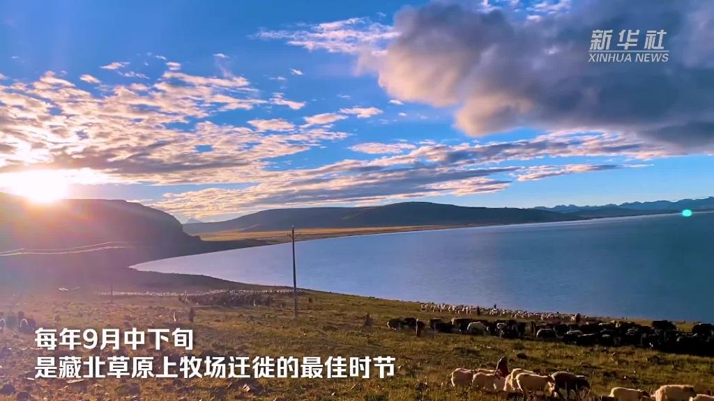 西藏当雄：藏北草原牧民开始转场