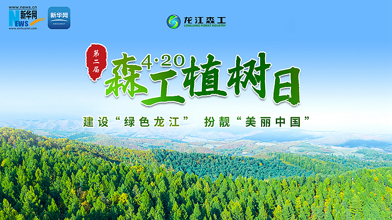 直播丨建設“綠色龍江”扮靚“美麗中國”——第二屆4·20森工植樹日