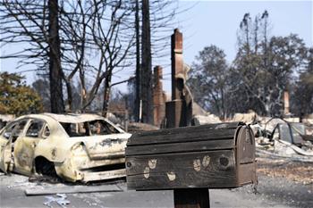 加州北部森林大火已造成35人死亡