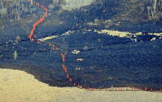 內蒙古呼倫貝爾那吉林場火災撲救取得決定性進展